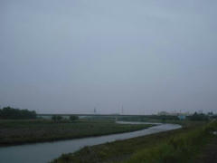 雨の多摩川
