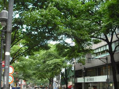 渋谷・道玄坂の風景