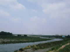 多摩川・定点観測