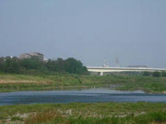 多摩川