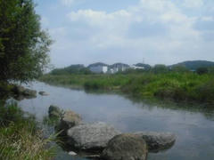 多摩川の風景