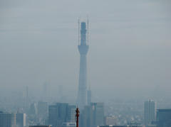 東京都庁