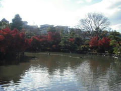 東山動植物園