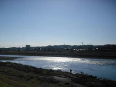 多摩川の輝き
