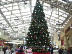 JR上野駅クリスマスツリー