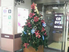 府中駅中クリスマスツリー