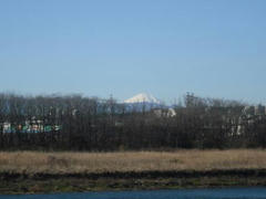 多摩川と富士山