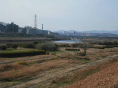 多摩川の風景