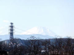 多摩川☆富士山