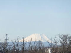 多摩川の風景