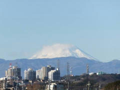 富士山