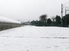 多摩川雪景色