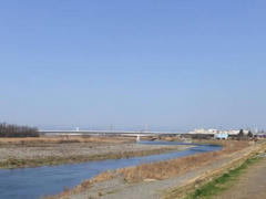 多摩川定点観測