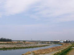 多摩川定点観測