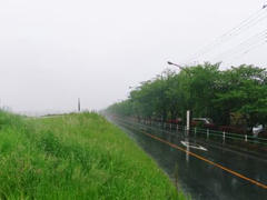 多摩川定点観測