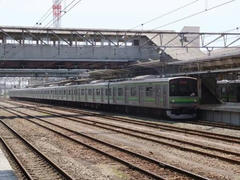 多摩川定点観測
