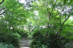 毛利庭園
