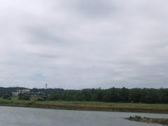 多摩川定点観測