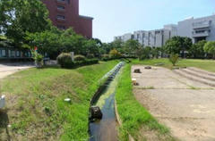 九産大の風景
