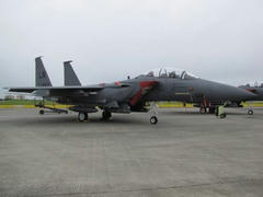 F15