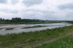 多摩川の風景