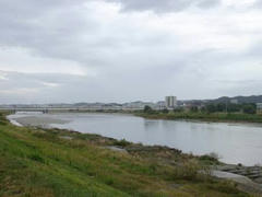 多摩川定点観測