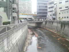 神田川