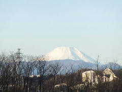 多摩川定点観測