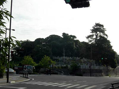 今市大念寺古墳全景