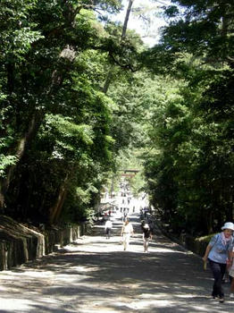 珍しい下り参道