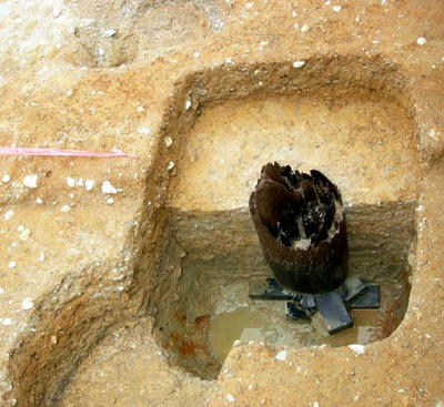高野槇は古墳時代には棺に使われる事が多かったそうです。