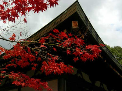 文殊堂の屋根と紅葉