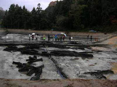 池の中には流木だらけ……