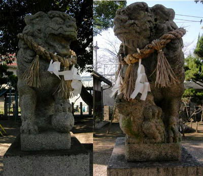 大きさはラブラドルレトリバーくらい？