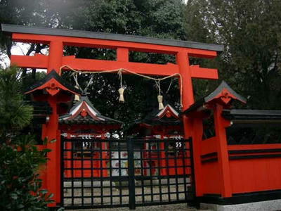 ２０年に一度、社は建て替えられるそうです。