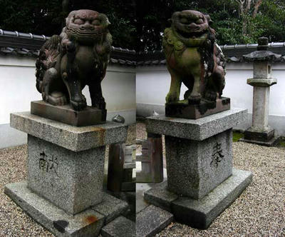 とってもフテブテシイ面構えです。