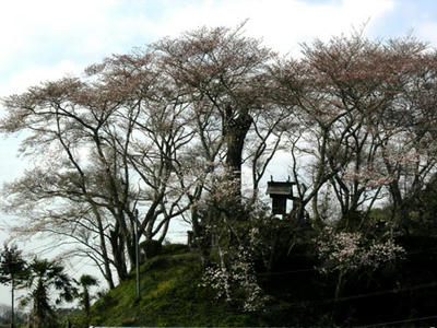 南淵請安の墓だとか