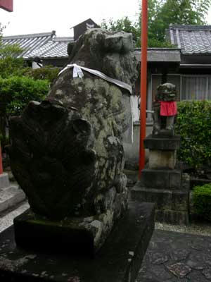毎度おなじみのフサフサ尻尾