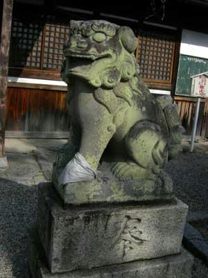 横顔はちょっとオモロイ系？