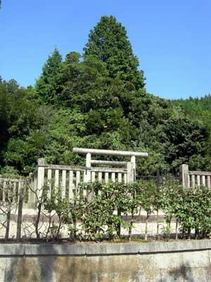 田原西御陵