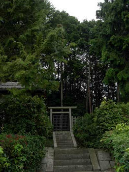 本当に小さな墓所です……