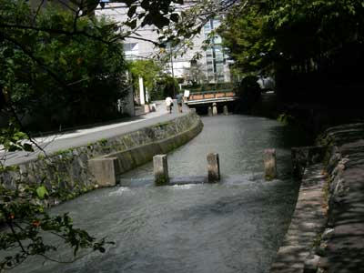 こちらは岡崎の疎水