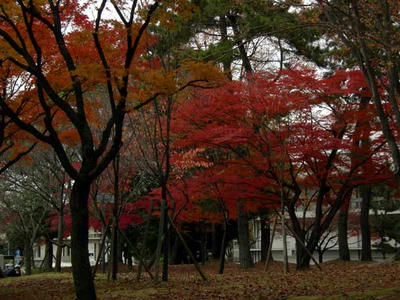 文化会館前庭にて