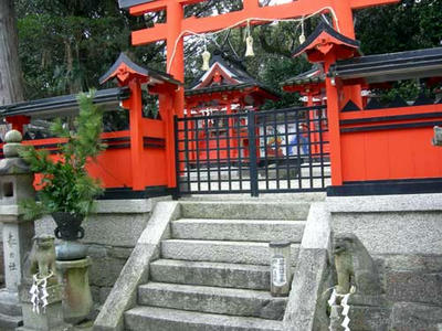 右の社殿の前に、カワラヒワの番がおりました……それだけの事(゜.゜)