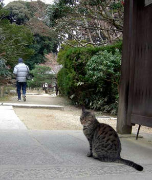 ここがお寺の門です。