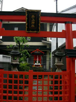 綺麗になった社