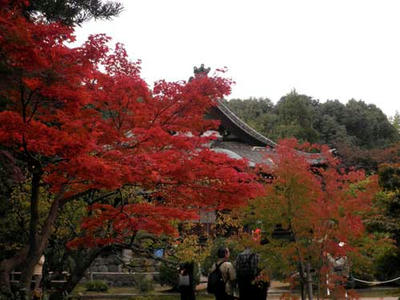 大元堂と紅葉