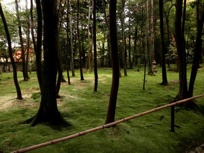 秋篠寺　金堂跡