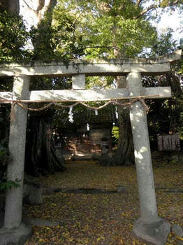 かなり小さな神社です。