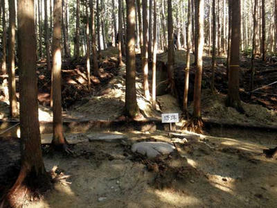 新たに見つかった塔跡